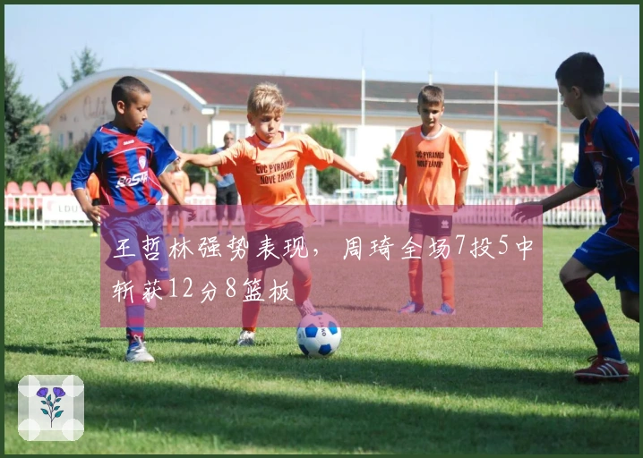 王哲林强势表现，周琦全场7投5中斩获12分8篮板